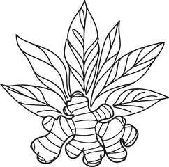 hand drawn ginger vector art	
