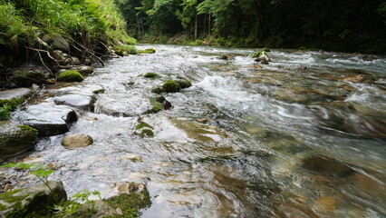 Fototapeta premium 渓流