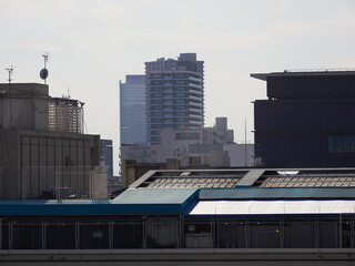 Obraz premium 名古屋市の繁華街の高層ビルの風景