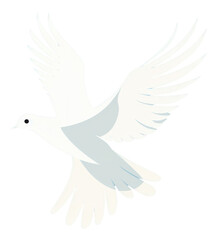 Obraz premium PNG Peace dove with olive branch animal bird blue.