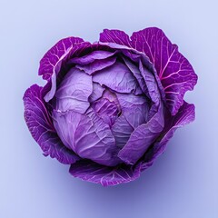 Obraz premium 121. A vibrant purple cabbage isolated on a plain white background
