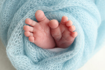 Close-up of tiny, cute, bare toes, heels and feet of a newborn girl, boy. Baby foot on blue soft coverlet, blanket. Detail of a newborn baby legs. Macro horizontal professional studio photo. 