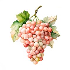 Obraz premium A watercolor illustration of a bunch of pink grapes with green leaves on a white background, ideal for food, wine, or nature-themed designs...