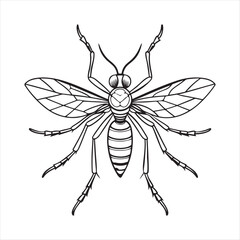 Fototapeta premium Mosquito Vector Art Illustration
