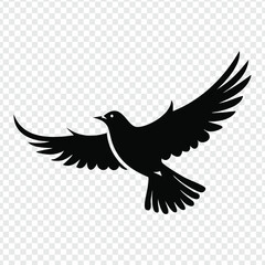 Obraz premium dove in flight