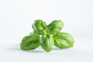 Obraz premium A group of fresh green leaves sitting on a clean white surface