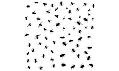 flies sitting outside on the window surface in different positions, vector,