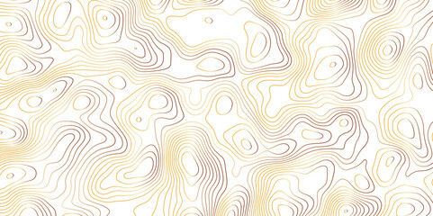 Abstract topographic map background. Topographic map lines contour background. 