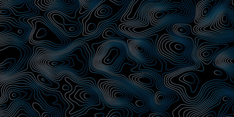 Fototapeta premium Abstract topographic map background. Topographic map lines contour background. 