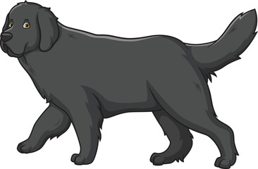 Cartoon newfoundland dog walking vector illustration