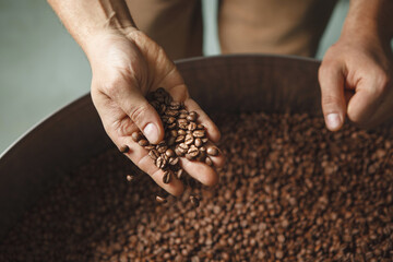 Roaster's Hand Inspecting Roasted Coffee Beans