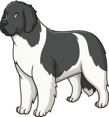 Cartoon gorgeous newfoundland dog vector illustration