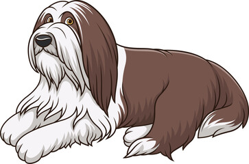 Cartoon bearded collie dog lying down vector illustration