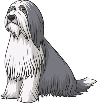 Cartoon obedient bearded collie sitting vector illustration