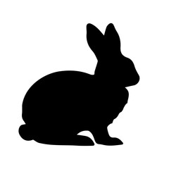 black rabbit isolated on white