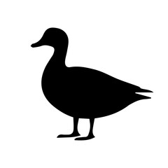 Shadow vector of a duck