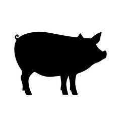 Shadow vector of  a pig