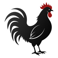 Rooster chicken black silhouette Vector illustration isolated on a white background