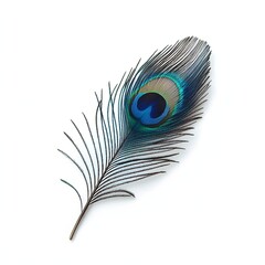 Obraz premium 39. A vibrant blue peacock feather isolated on a clean white background
