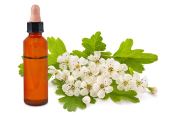Hawthorn  flowers and glass bottle with  essential oil