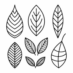 Set of 7 line art leaves, perfect for adding a touch of nature to your designs. The leaves are simple and elegant, making them ideal for branding, social media.