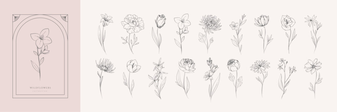 Botanic set of detailed various flowers. Luxury vintage floral collection for wedding invitation, wallpaper art or save the date card. Botanical vector
