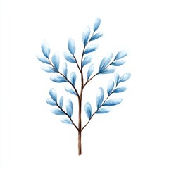 Obraz premium Delicate Blue Botanical Illustration on White Background