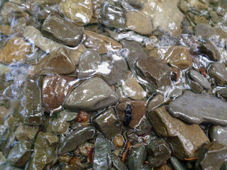 stones in water