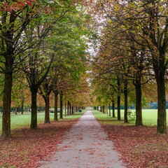Naklejka premium Parco Nord, public park in Milan, Italy