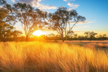 Fototapeta premium A wide savannah landscape with tall golden grass