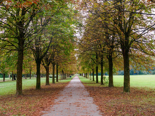 Fototapeta premium Parco Nord, public park in Milan, Italy