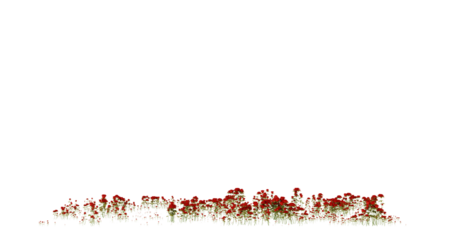Abstract Flames on transparent Background
