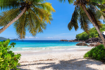 Tropical Beach. Sandy beach with palm and turquoise sea. Summer vacation and tropical beach concept.	