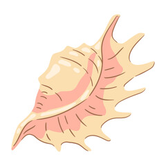 Illustration of seashell. Tropical underwater mollusk shell.