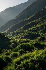 view of the mountains