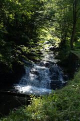 Obraz premium Cascades on Wilczka river, surrounded with green forest, in Snieznik Massif, Miedzygorze, Poland.