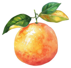 PNG  Vibrant watercolor orange fruit illustration