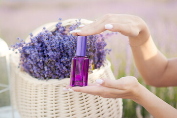 Parfume bottles with lavender. Flowers field background. Provence lavender farm.