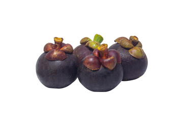 Garcinia mangostana