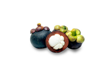 Mangosteen (Garcinia mangostana)