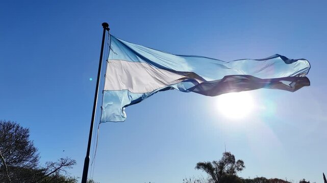 bandera argentina flameando sobre sol, cielo azul	
