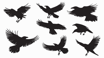 Obraz premium Set of black bird silhouettes. Vector elements for design.
