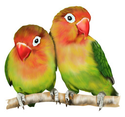 Hand drawn watercolor of parrot animal isolated on transparent background