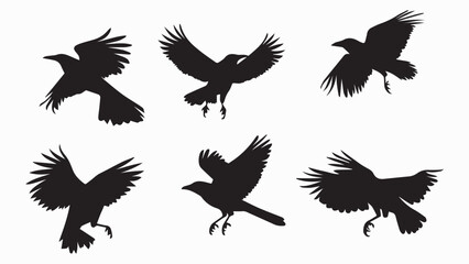 Fototapeta premium Set of black bird silhouettes. Vector elements for design.