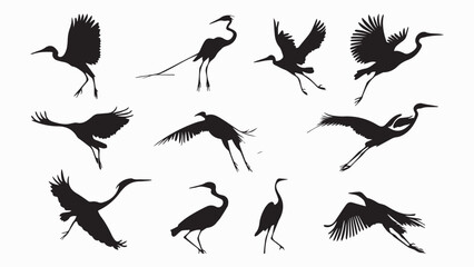Obraz premium Set of black bird silhouettes. Vector elements for design.