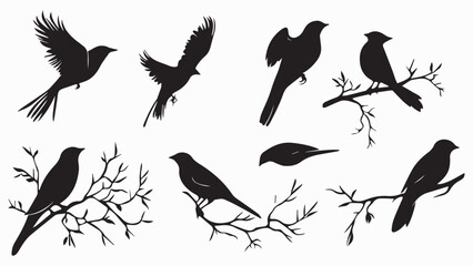 Obraz premium Set of black bird silhouettes. Vector elements for design.