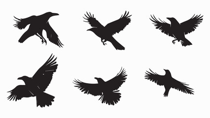 Set of black bird silhouettes. Vector elements for design.