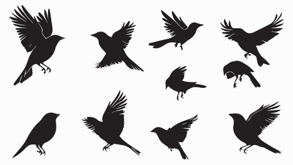 Obraz premium Set of black bird silhouettes. Vector elements for design.