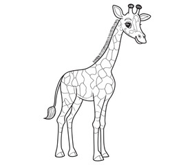 Coloring pages of giraffes for kids giraffe cartoon isolated on white