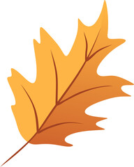 Obraz premium Handdrawn Organic Autumn Leaf